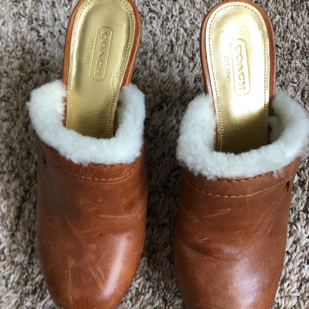 Coach leather, fur lined platform clogs